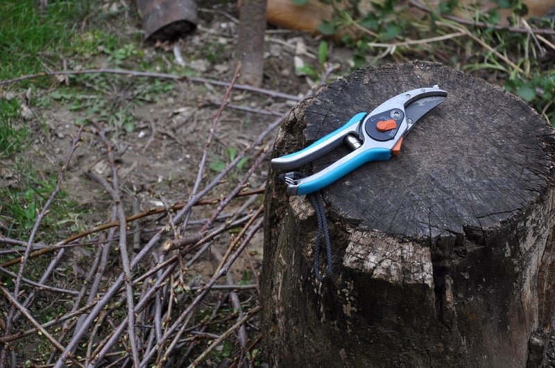 Pruning shears